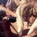 Monster Hunter : World Umumkan Kolaborasi Bersama Devil May Cry