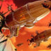 EA tengah planning untuk REMASTER game Command and Conquer?
