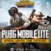 PUBG Project Thai sekarang ini telah menjadi PUBG Lite untuk PC! Korang boleh main tanpa Grafik kad yang tinggi!