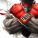 Masa terhad! Main Street Fighter V secara percuma sehingga Mei ini!