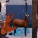 Games Yang Keluar Minggu Ini: Life is Strange 2 – Ep 3, Saint Hazel’s Horsepital, Shakedown Hawaii Dan Banyak Lagi!