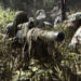 Call of Duty: Modern Warfare cecah USD 600 JUTA (RM2.6 BILLION) pada tiga hari pertama pelancaran!