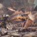 Monster Hunter World: Iceborne yang akan hadir 10 Januari 2020 ini di PC Steam tersedia dengan kandungan yang gempak!