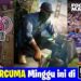 Watch Dogs 2 bersama beberapa game lain kini percuma di Epic Games Store!
