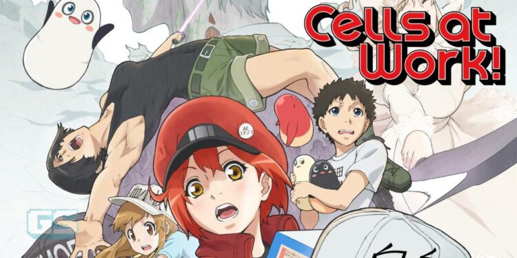 Lebih pendedahan Cells at Work Season 2, termasuk PV baru!