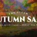 Steam Autumn Sale 2020 kini bermula dengan diskaun sehingga 88%!