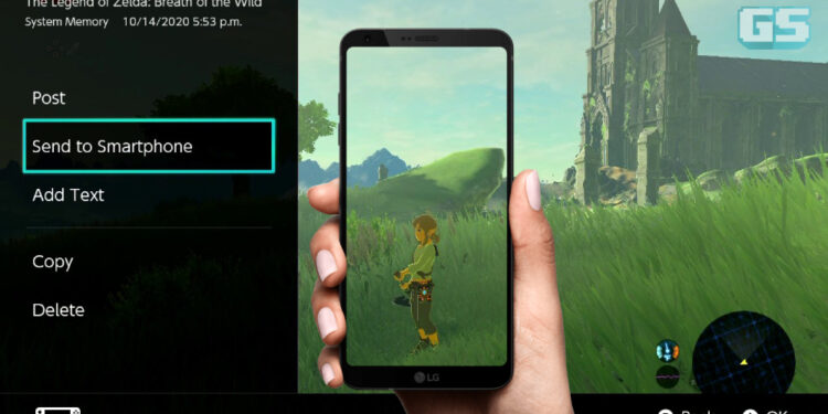 Update baru Nintendo Switch menambahkan perpindahan gambar ke peranti mobile, ikon baru, lain-lain!