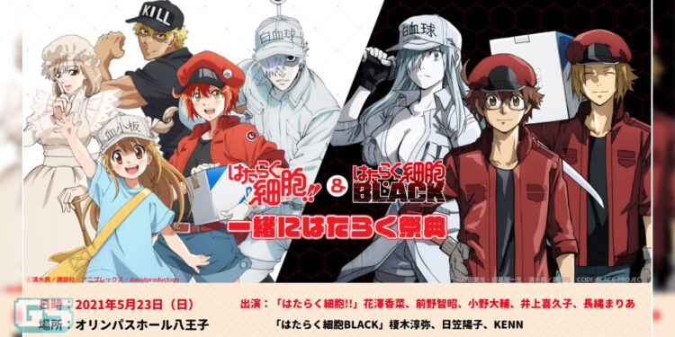 Francais Cells at Work! menerima adaptasi game mobile baru oleh NetEase!