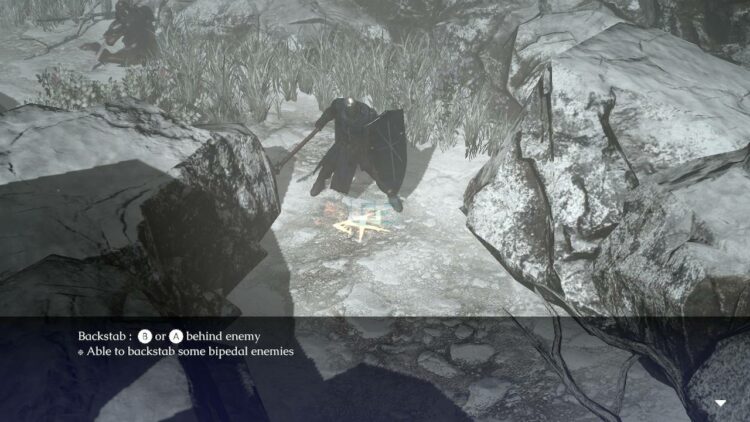 Review ANIMUS: Revenant (Nintendo Switch) – Berinsipirasi Dark Souls tetapi banyak yang kurang~
