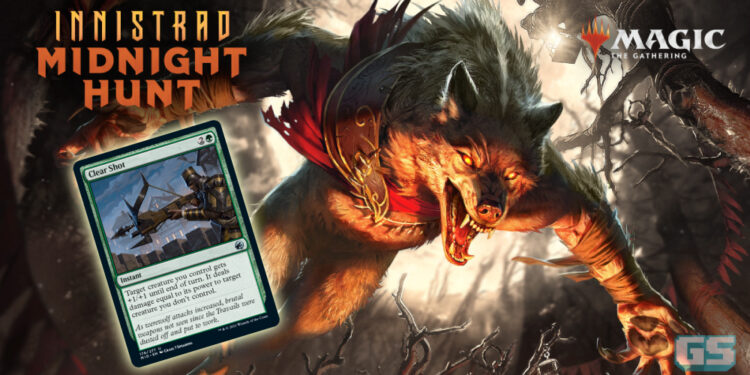 Mari bunuh serigala dengan kad Clear Shot di MTG – Innistrad: Midnight Hunt!