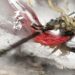 Netease rancang untuk bawa Naraka: Bladepoint ke pasaran mobile