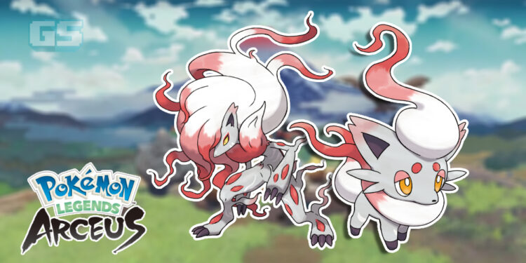 Pokémon Legends: Arceus memperkenalkan Hisuian Zorua dan Zoroark!