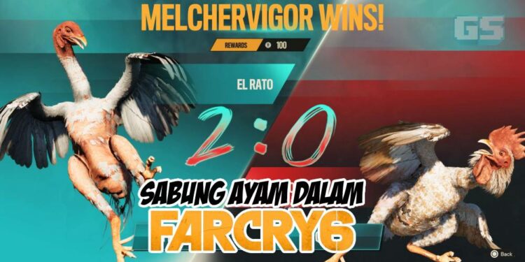 [Panduan] Jadi ayam sabung paling hebat, Ini panduan untuk minigame dalam Far Cry 6!