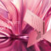 MSI Prestige 14 Rose Pink kini kembali! Gayakan hidup anda dengan warna pink!