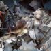 Arknights: Endfield – Game 3D RPG Arknights diumumkan untuk mobile dan PC!