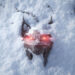 Game The Witcher baru kini dalam pembangunan dengan Unreal Engine 5!