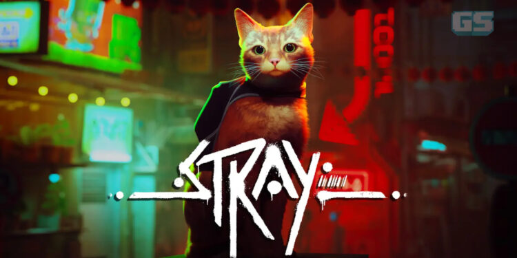 Game kucing STRAY akan dilancarkan 19 Julai, percuma di PS Plus Extra/Deluxe
