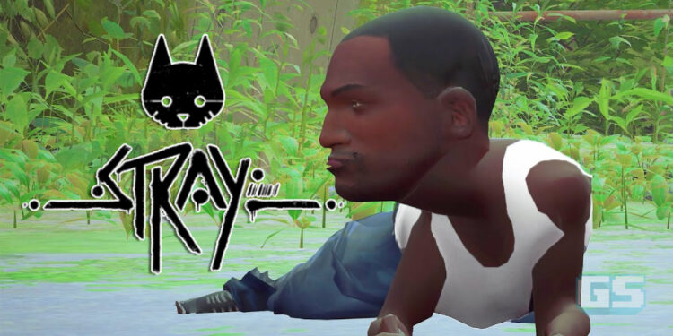 Mod-mod pelik game Stray mula muncul, antaranya mod CJ!