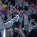 Musim finale Bleach menampilkan perang antara Shinigami & Quincy, akan keluar Oktober 2022
