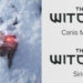 The Witcher 4 Kini Digelar “Project Polaris”, 2 Lagi Projek Baru Diumumkan Berpusatkan Dunia Game!