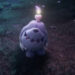 Perkenalkan Greavard! Pokemon Ghost Terbaru Dalam Scarlet & Violet!