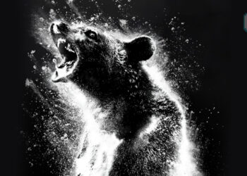“Inspirasi Daripada Kisah Sebenar” — Filem Cocaine Bear Dedahkan Trailer Pertama!
