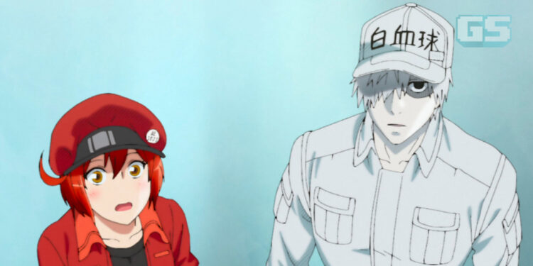 Cells at Work Mendapat Adaptasi Filem Live Action! Pelakon Masih Belum Didedahkan!