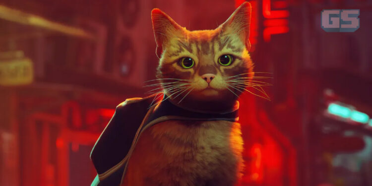 Game Kucing Popular, STRAY Bakal Dapat Adaptasi Filem Animasi!