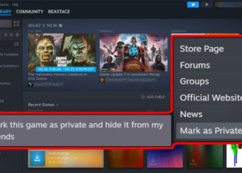 Pemain Dapat “Sembunyi” Game Daripada Rakan-Rakan Di Steam