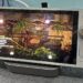 Pengalaman Mencuba Zotac Gaming Zone Di Computex 2024!