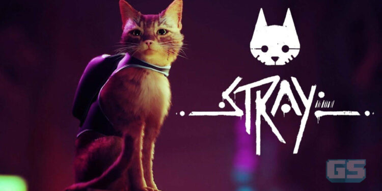 STRAY Akan Datang Ke Nintendo Switch Pada Hujung 2024