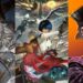 [TGS24] Pemenang Japan Game Awards 2024 “Future Division!”