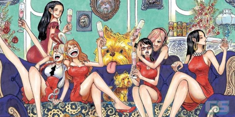 Wanita-Wanita One Piece Bakal Bersinar- Adaptasi Anime ‘Heroines’ Disahkan!