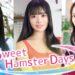 Sweet Hamster Days – Alami Kisah Cinta Unik Sebagai Hamster?