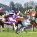 Fandom Umamusume ‘Serbu’ Media Sosial Kelab Lumba Kuda Malaysia Hingga Viral!