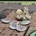 [TableCon Quest 2025] Kembara Seorang Pemain Baharu Ke Dunia Dungeons & Dragons