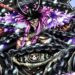 One Piece – Siapakah Loki & Adakah Dia Akan Menjadi Ahli Terakhir Straw Hat Pirates?